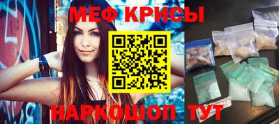 гашик Кингисепп