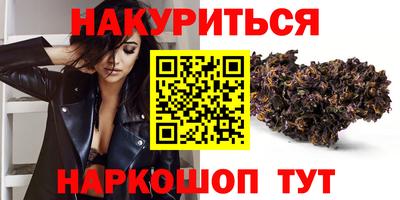 гашик Кингисепп