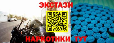 гашик Кингисепп