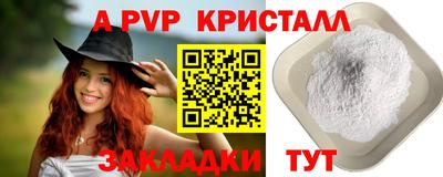 гашик Кингисепп