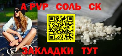 гашик Кингисепп